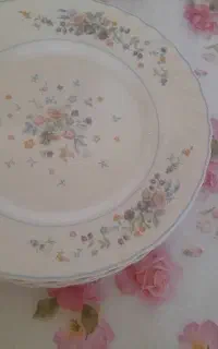 بشقاب چینی