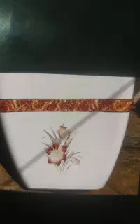 توالت فرنگی در حد نو
