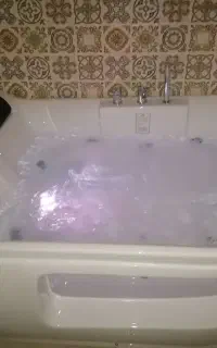 نیاز به نظافت چی خانم