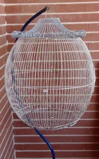 قفس پرنده