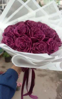 سورپرایز تولد و مراسمات / موسیقی زنده