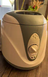 سرخ کن برقی