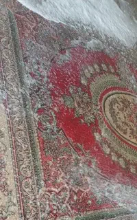 ماهشهر شهرک طالقانی