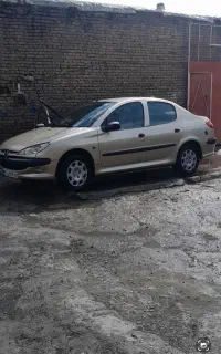 ۲۰۶ اس دی دوگانه فابریک