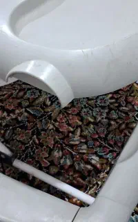 روروک
