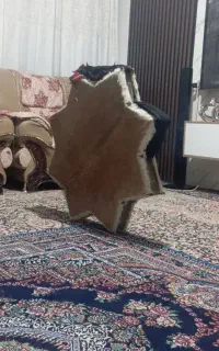 طبل پوستی