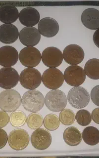 سکه