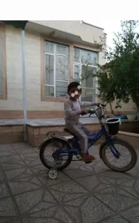 دوچرخه