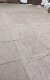موکت پالاز