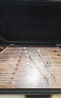 سنتور حرفه‌ای