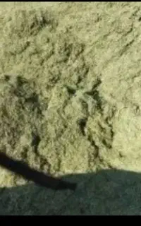 سبزه باغی