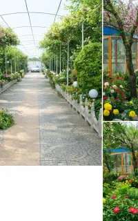 باغ تالار وکافه رستوران بهشت