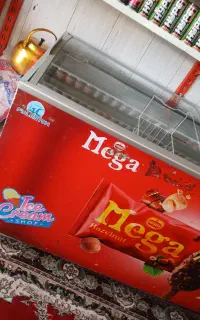 یخچال بستنی ۲ درب
