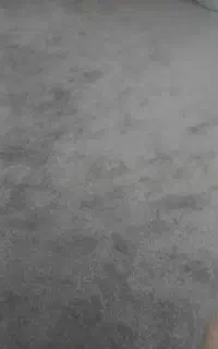 پالاز موکت نقره ای نو