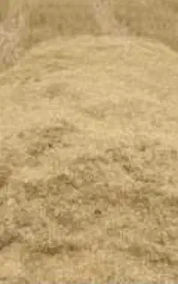 فروش کاه