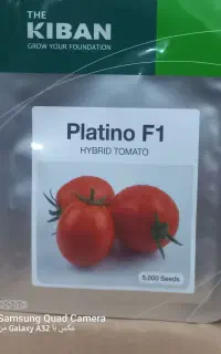 بذر گوجه پلاتینو و ...