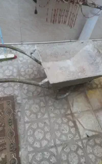 فرقون سالم