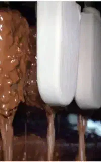 استخدام نیروی خانم و اقا