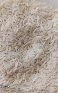 فروشی برنج صدری شمال ایرانی