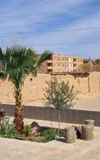 اجاره جهت جشن تولد و مراسمات خانوادگی