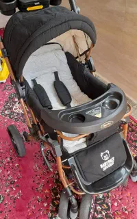 کالسکه دلیجان