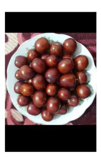 عناب تازه و درجه یک                (مستقیم از باغ)