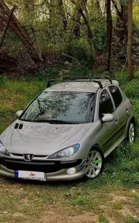 پژو 206 فول لوازم