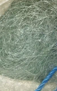 تور گوافی ۳ انگشت