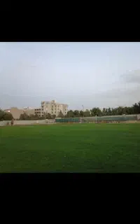 چمن کاری حرفه ی و با ضمانت و فروش بهترین بذر چمن