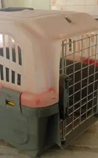 باکس پت