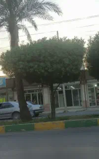 منزل ویلایی بر بلوار