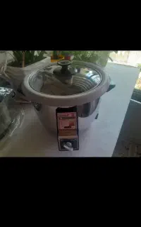 پلو پز و سرخ کن