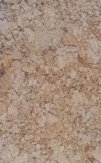 نان خشک تمیز