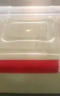 ظرف خالی حلوا