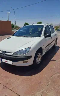 206تمیز خونگی تیپ 3