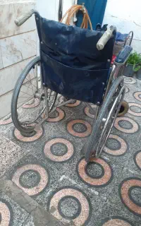 ویلچر.