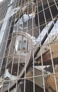 فن گلخانه و مرغداری
