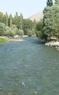 طبیعت گردی