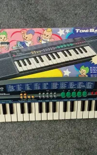 ارگ آموزشی کاسیو کلکسیونی