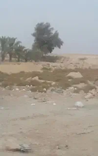 دهقاید زمین با آب جهت کشت نصفی