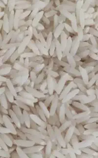 سلام برنج محلی فروشی