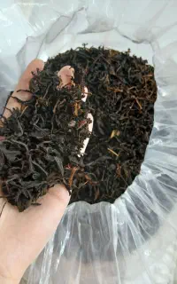 چای آفتاب خشک بدون سم پاشی لاهیجان شیخ زاهد