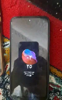شایامی