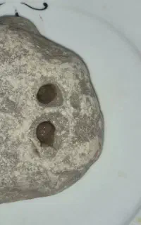 سنگ مشکوک به شهاب‌سنگ