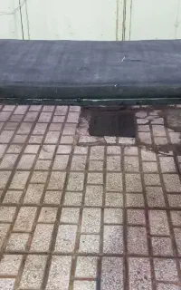 تخت