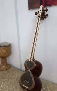 تار قدیمی استاد رضا ژاله