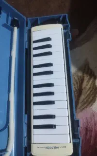 ملودیکا کلکسیونی سوزوکی