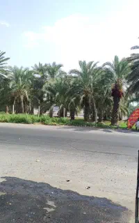 یک خانواده سه نفره برای کار در روستاعشایری دام دار