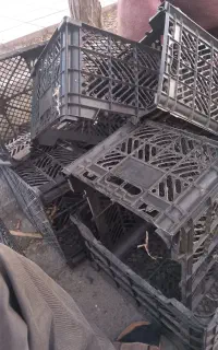سبد