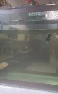 سلام آکواریوم فروشی